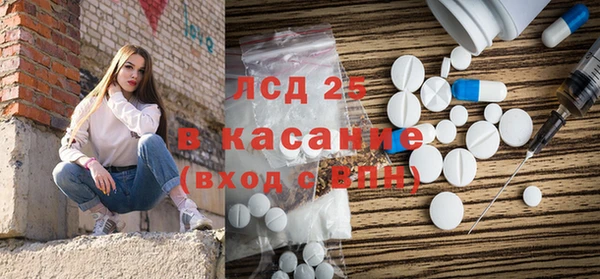 ПСИЛОЦИБИНОВЫЕ ГРИБЫ Кукмор