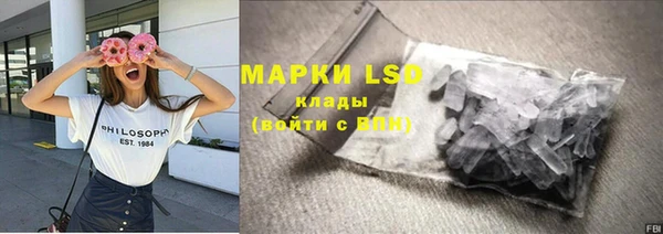 ПСИЛОЦИБИНОВЫЕ ГРИБЫ Кукмор