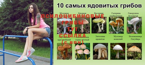 прущий лед Куйбышев