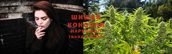 мет Ладушкин