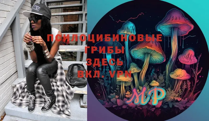 Галлюциногенные грибы MAGIC MUSHROOMS  Менделеевск 