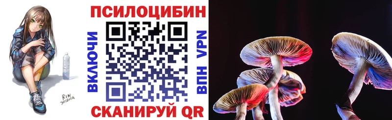 Псилоцибиновые грибы Psilocybe  где можно купить наркотик  Менделеевск 
