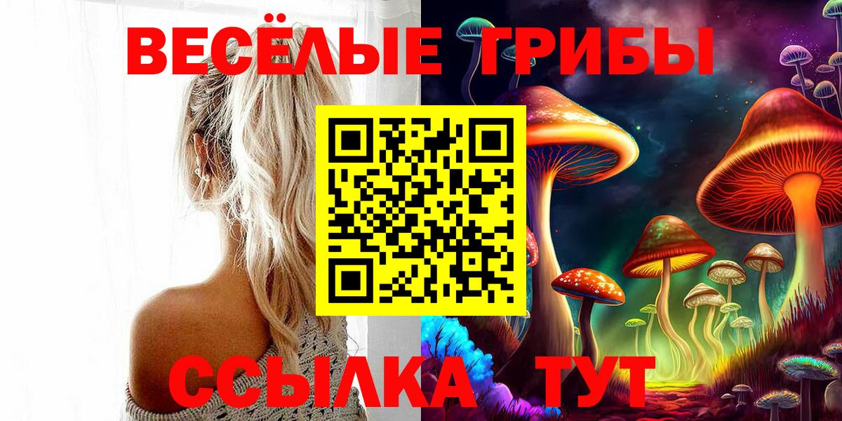 Галлюциногенные грибы ЛСД Менделеевск