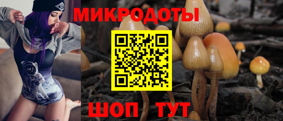 Псилоцибиновые грибы Psilocybine cubensis  Менделеевск 